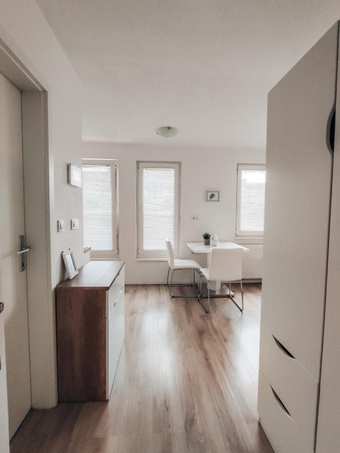 Studio Apartment Sanya 卢布尔雅那 外观 照片